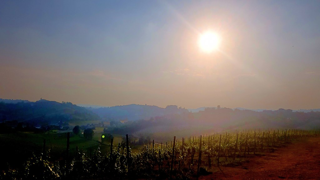 Panorama Mombercelli 