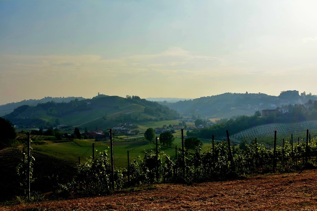Panorama Mombercelli