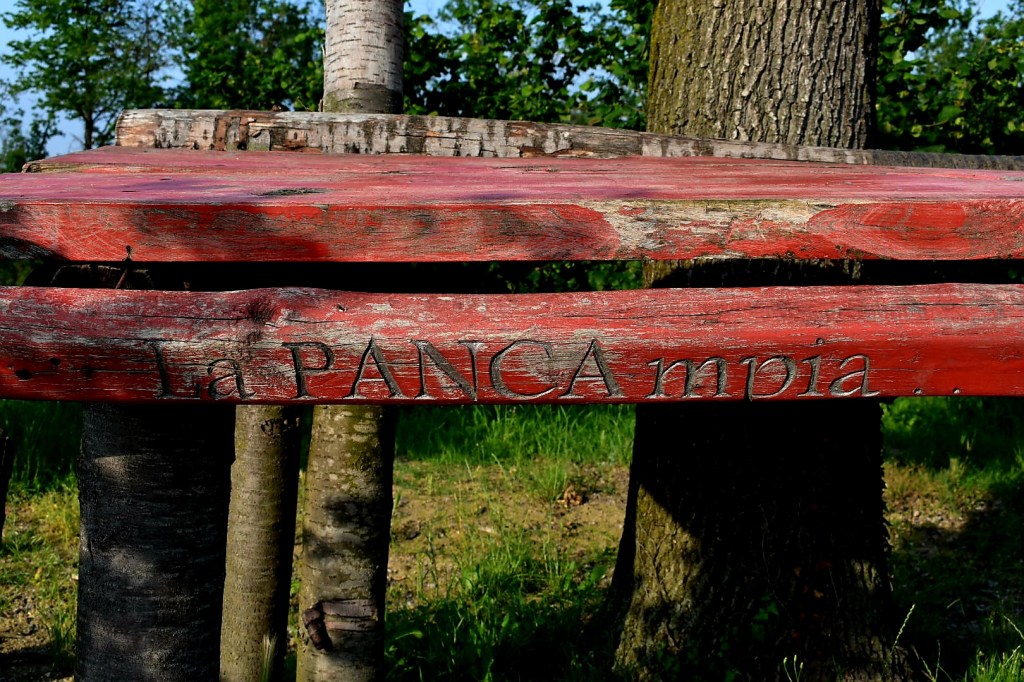 PancAmpia - Monale
