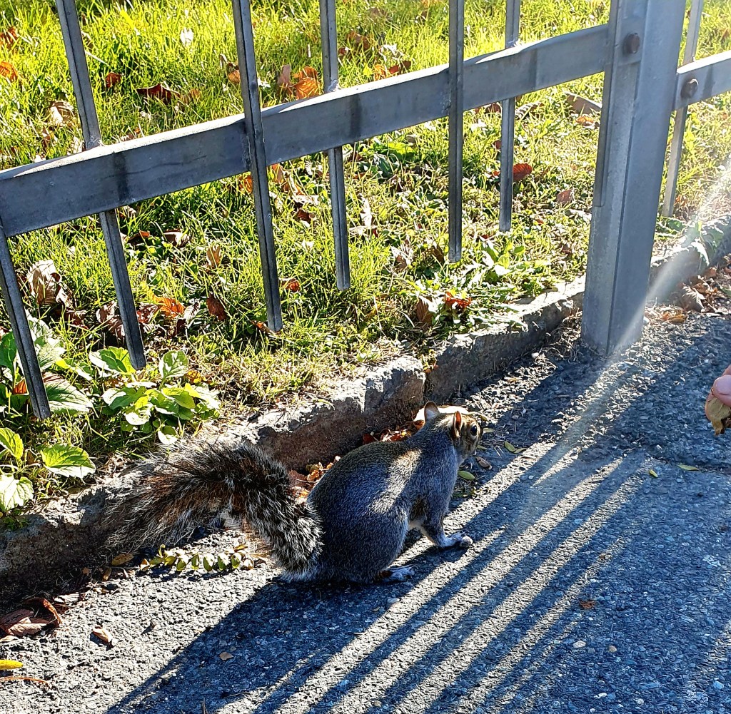 Incontri nel Parco del Valentino