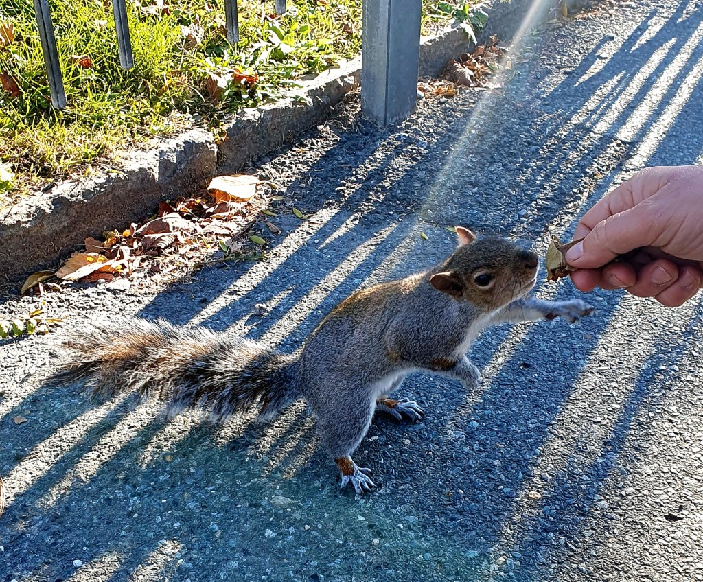 Incontri nel Parco del Valentino