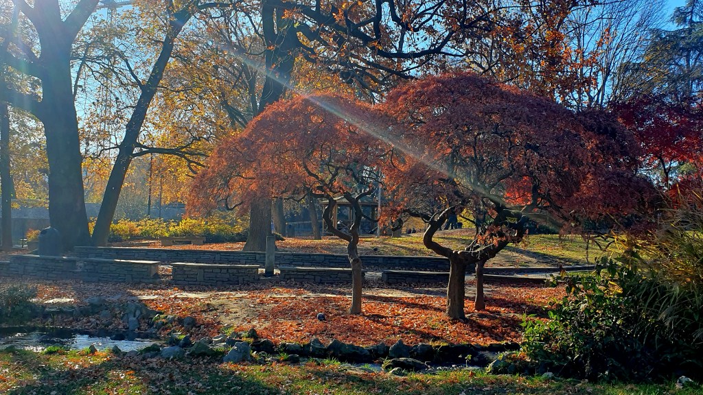Parco del Valentino - Torino