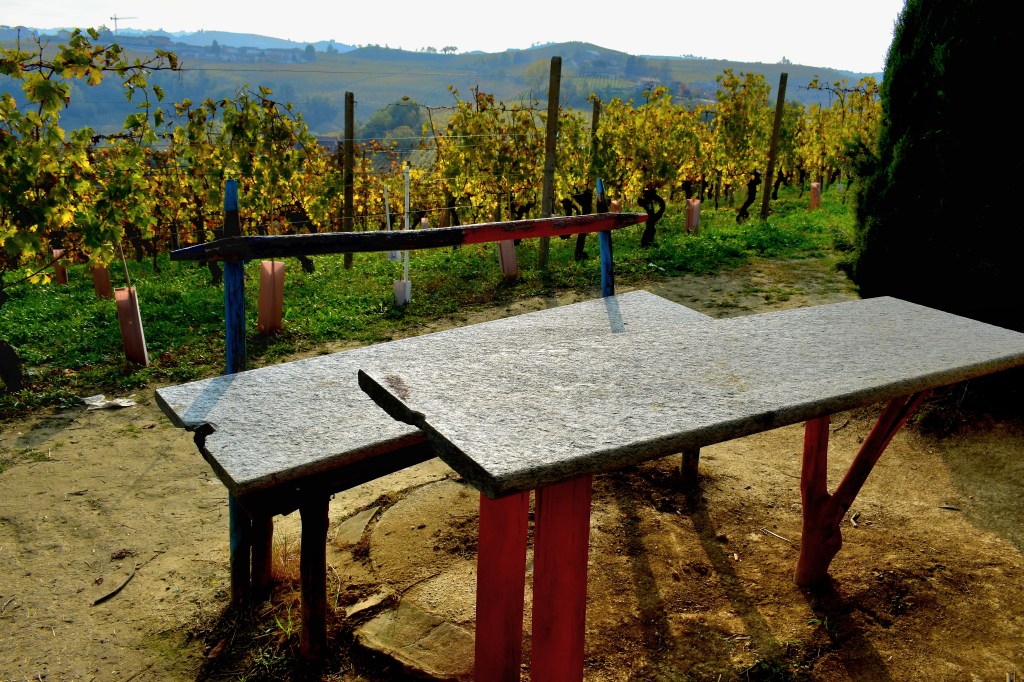 La Vigna dei Pastelli - Coazzolo