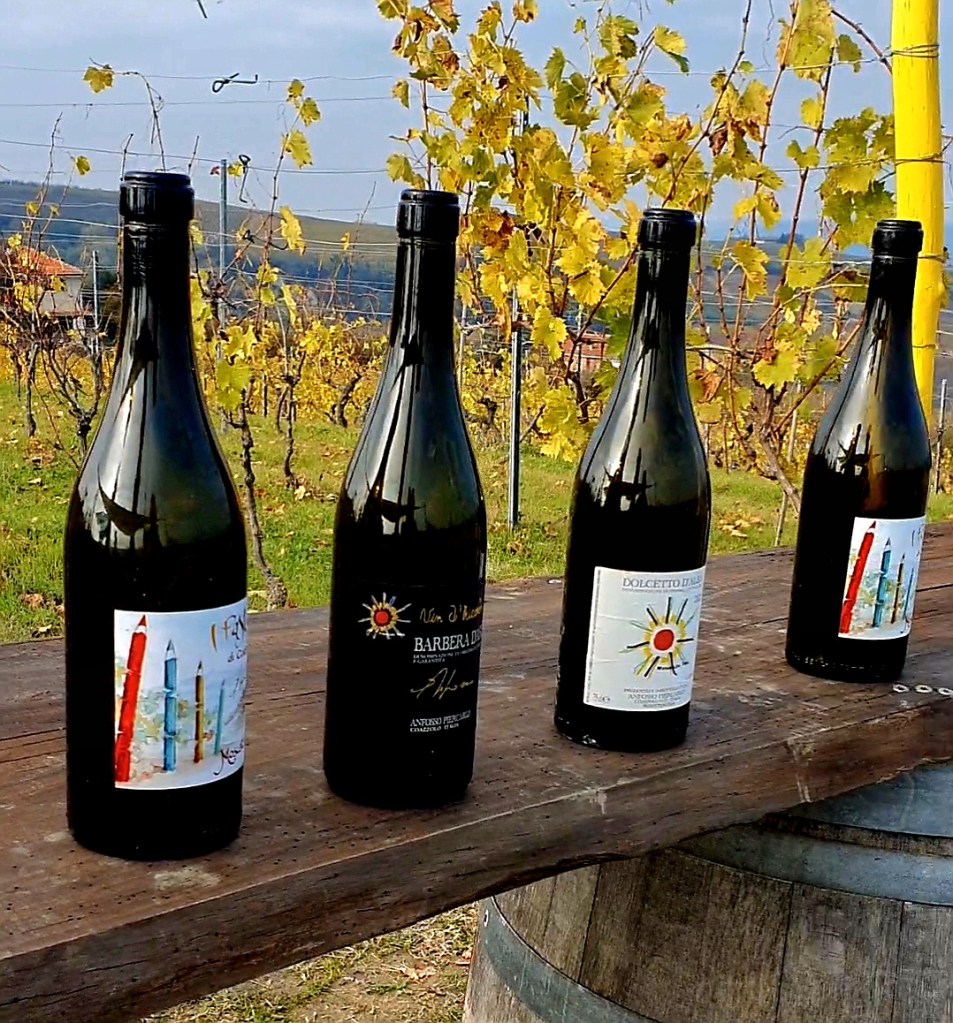 La Vigna dei Pastelli - Coazzolo