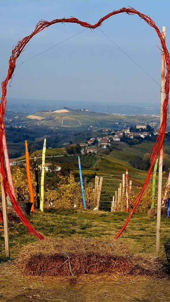 La Vigna dei Pastelli - Coazzolo