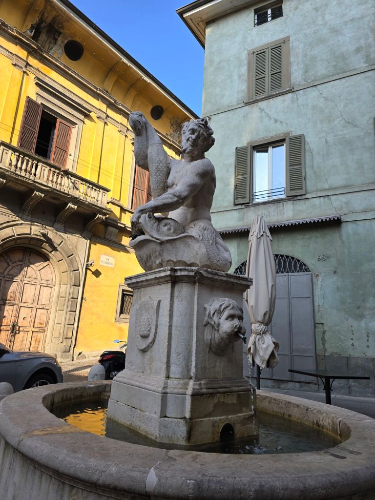 Fontana del delfino - Bergamo