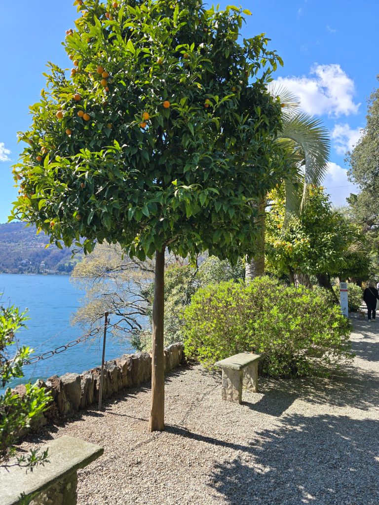 Isola Madre - Isole Borromee