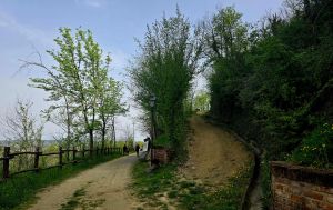 Strada Romantica- Vezza d'Alba