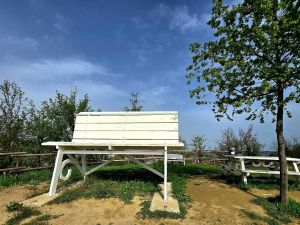 Big Bench Vezza d'Alba