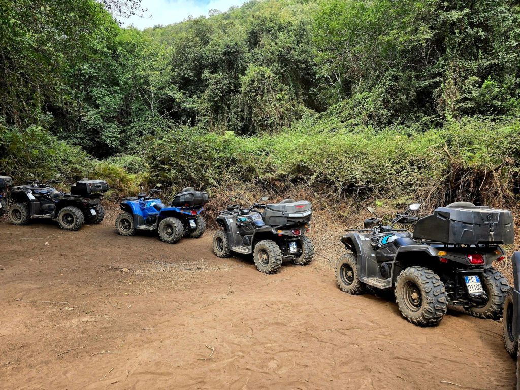 Escursione in quad Baunei