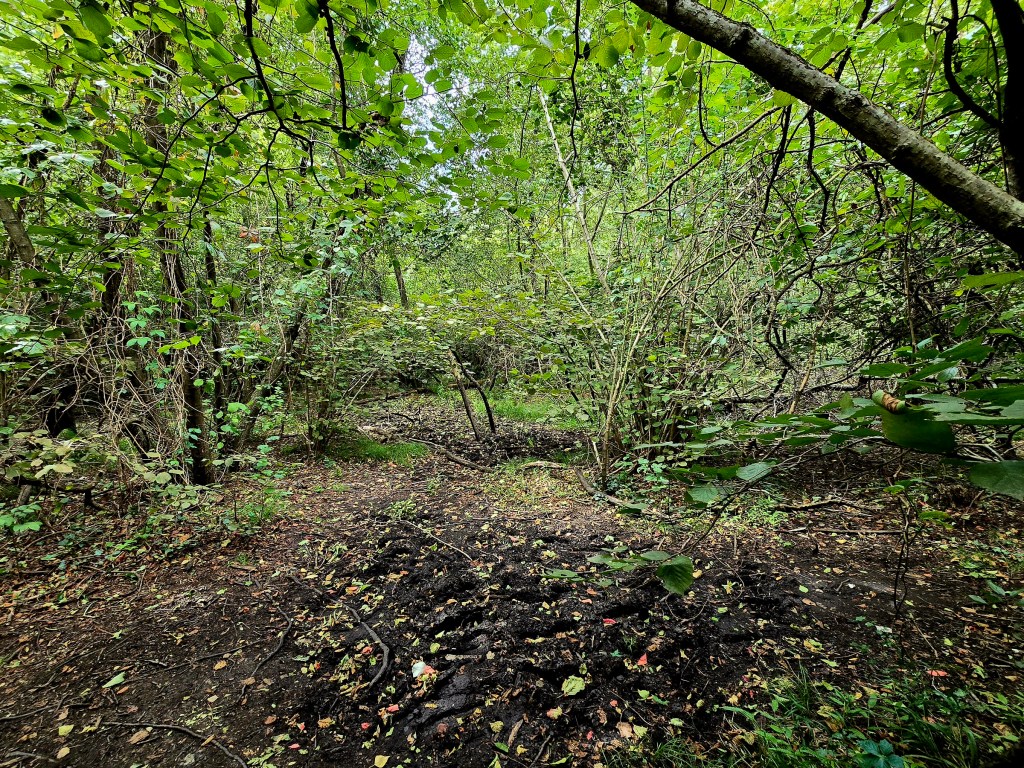 Vivi il fascino delle Terre Ballerine, la meraviglia vicino a Ivrea | Sposini in&nbsp;viaggio