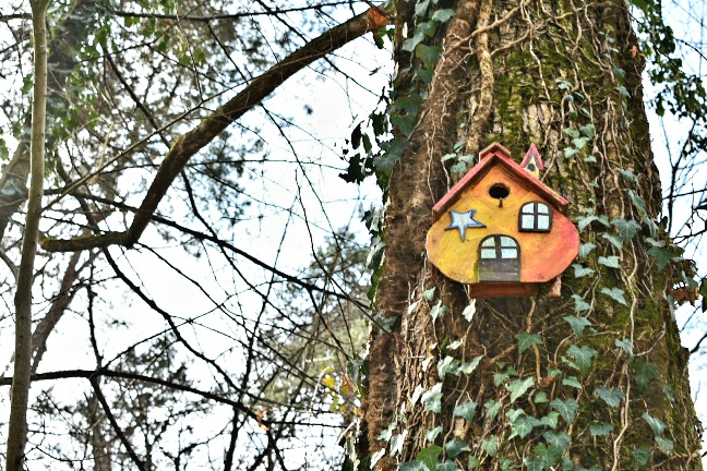 Un luogo da favola in Piemonte: il Bosco Fatato di Monteu Roero | Sposini in&nbsp;viaggio