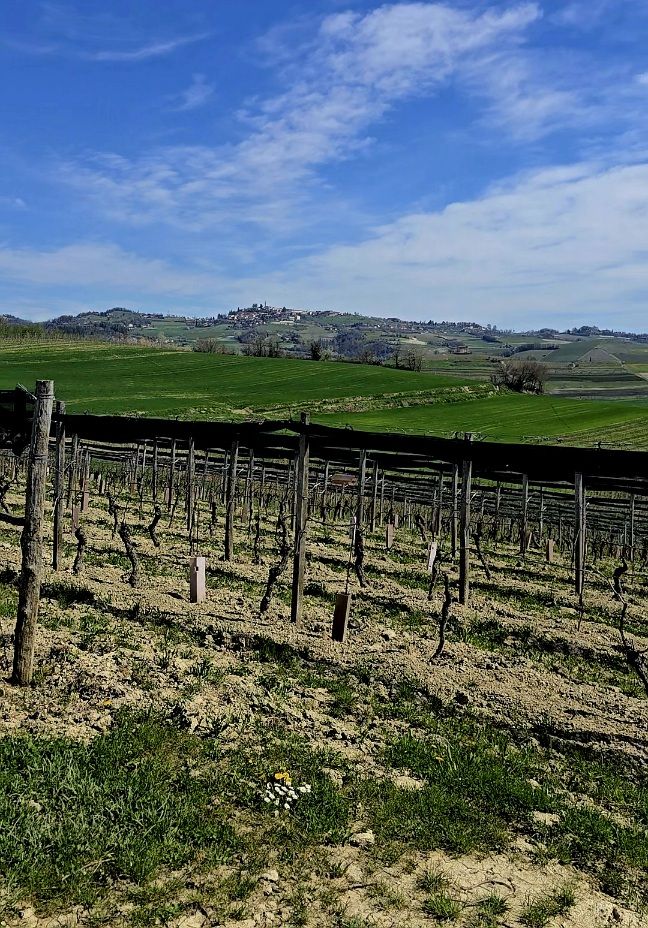 Percorsi Panoramici Moncucco Torinese